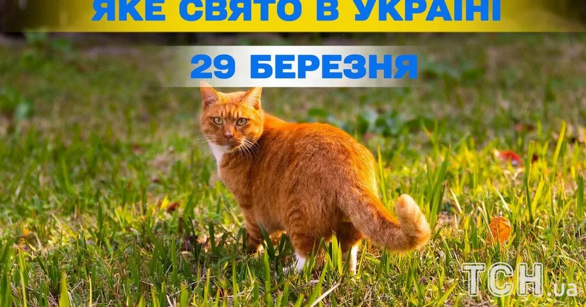 29 березня – детальна інформація