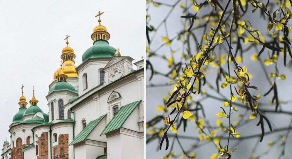 Святкові обряди Берещення: люди в традиційному вбранні з березовими гілками на фоні природи.