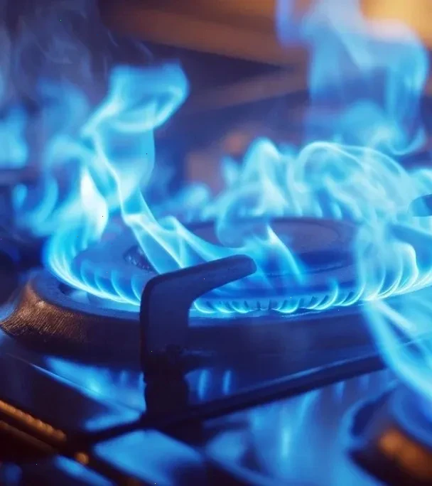 газова інфраструктура – детальна інформація