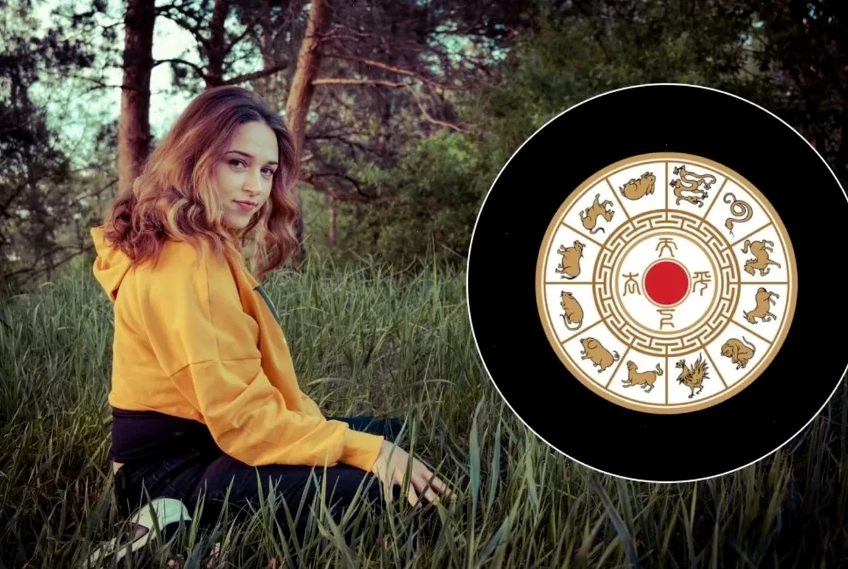 грошовий бонус – детальна інформація