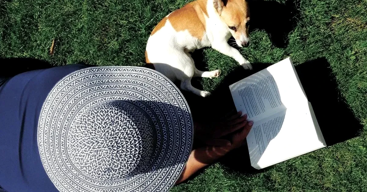 коли сіяти траву весною