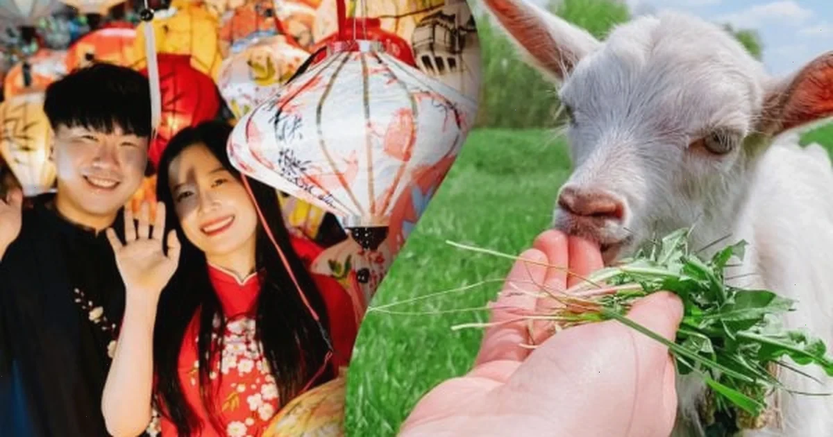 Китайський гороскоп на завтра