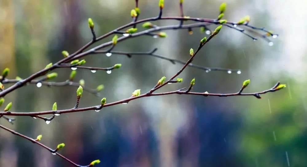 На вихідних погода в Україні почне змінюватися