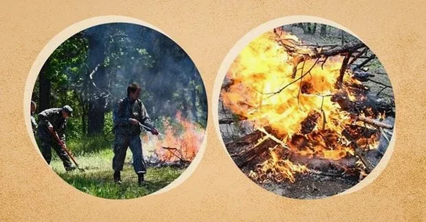 паління гілок – детальна інформація