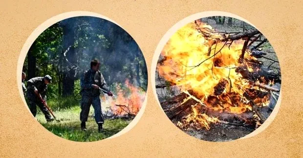 паління гілок – детальна інформація