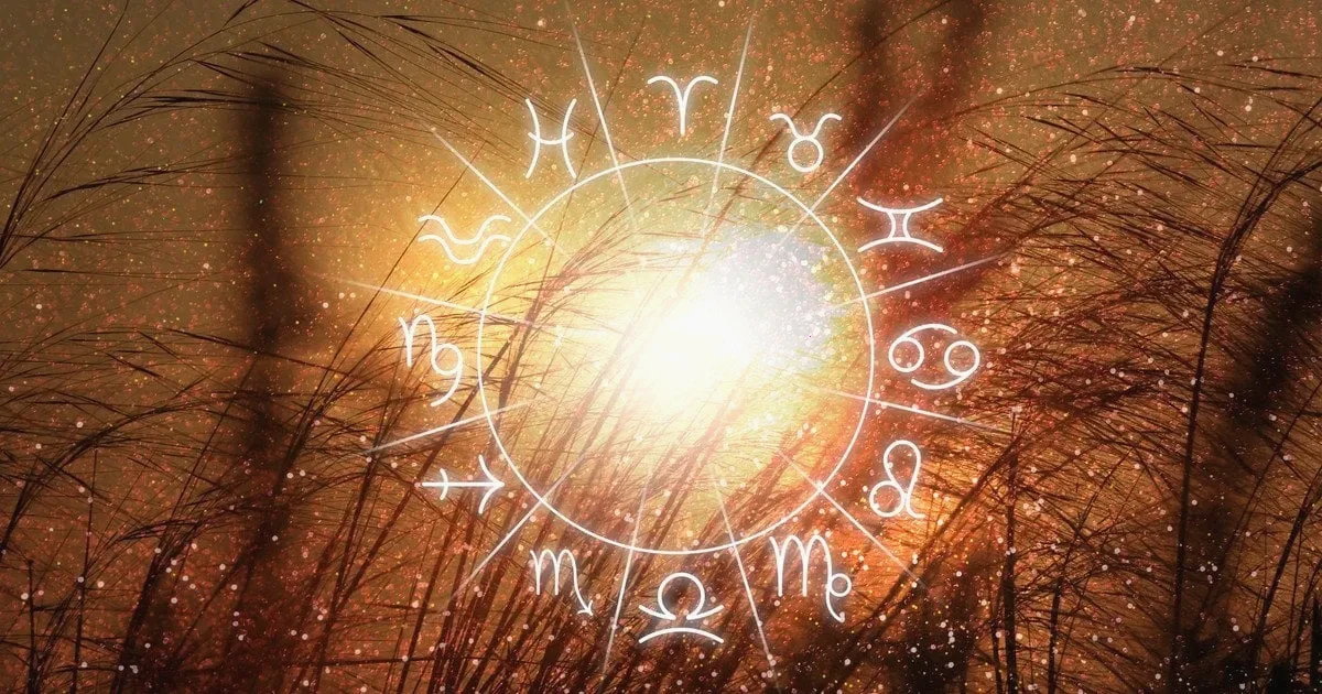 перукар – детальна інформація