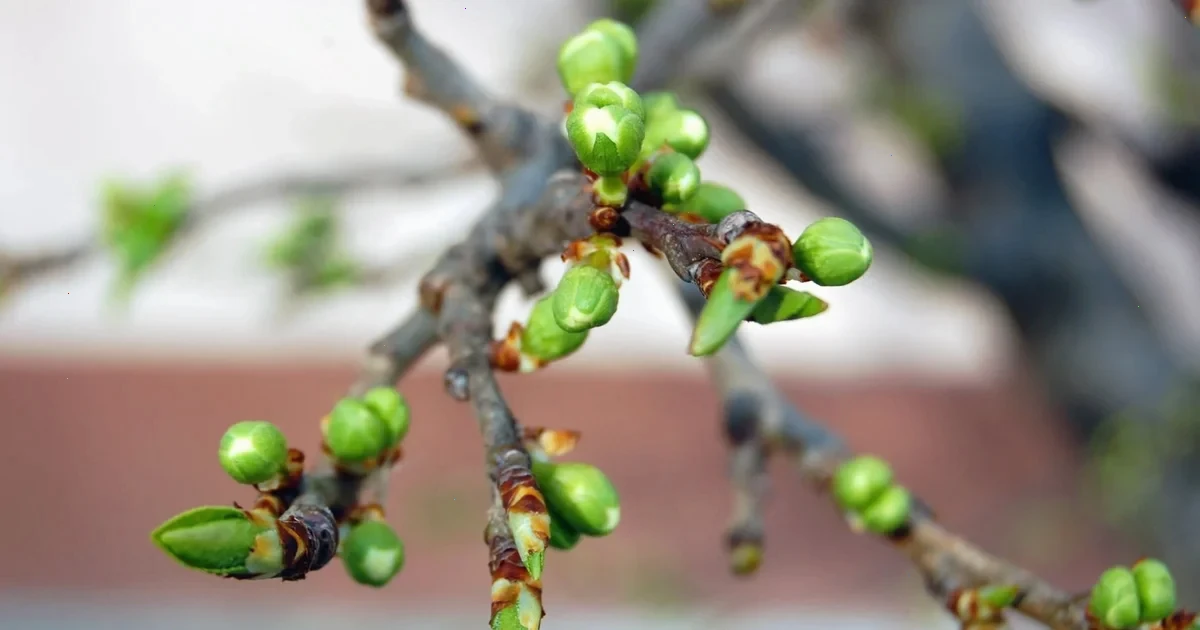 погіршення погоди в Україні