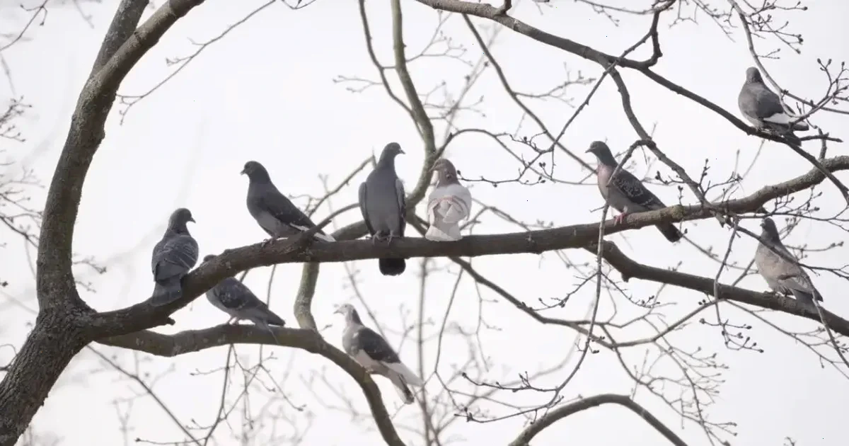 погода в Україні 30 березня