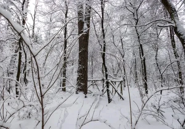 погода в Україні – детальна інформація