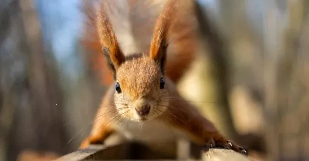 погода вихідних – детальна інформація