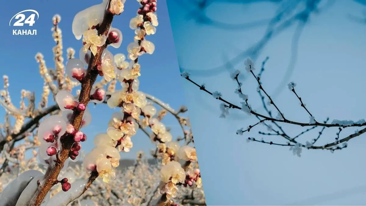 Люди в теплих куртках гуляють парком під похмурим небом, символізуючи похолодання перед Великоднем в Україні.