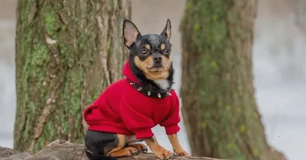 похолодання в Києві – детальна інформація