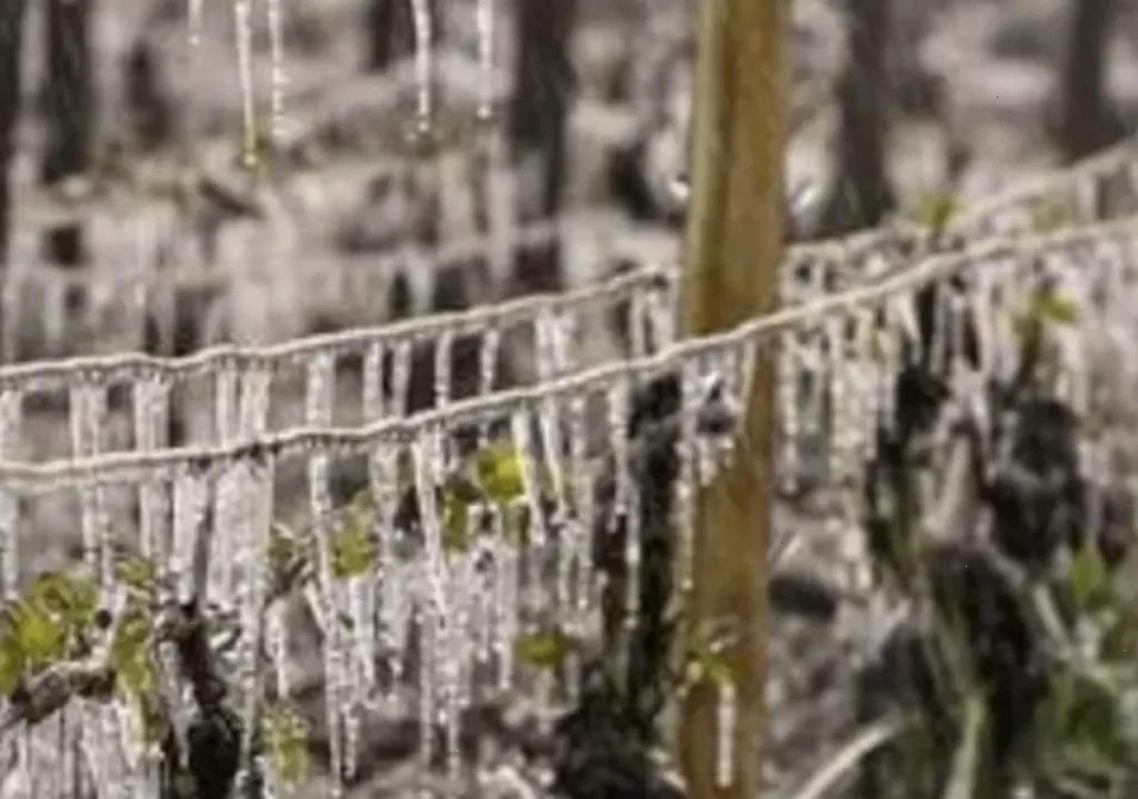 похолодання - зміна погоди