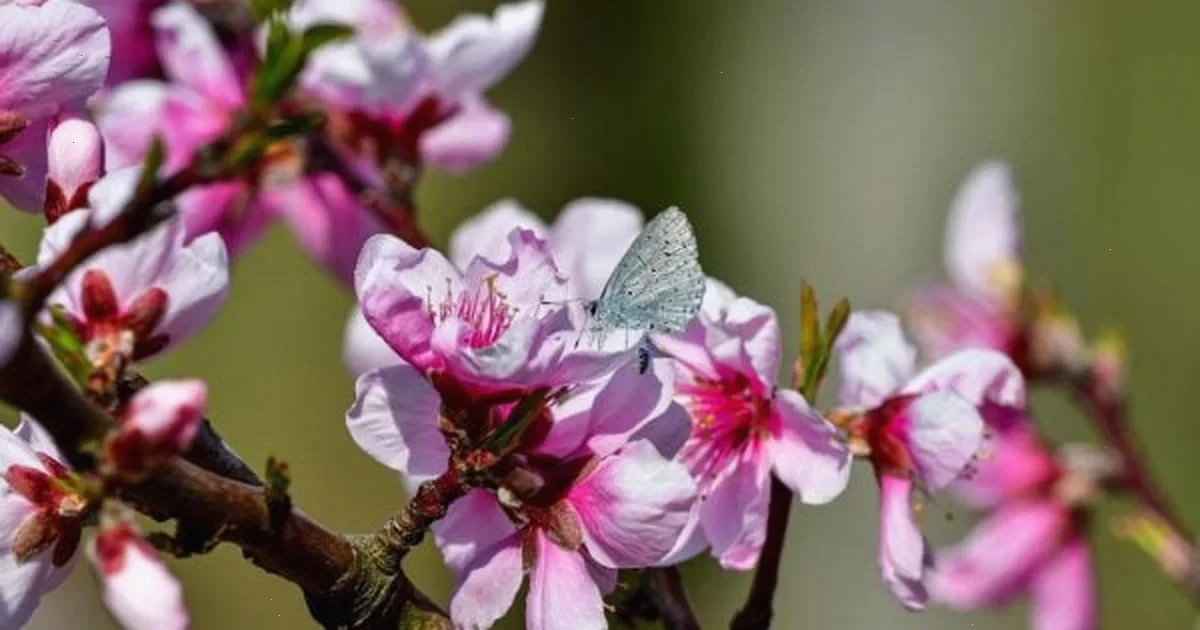 потепління в Києві