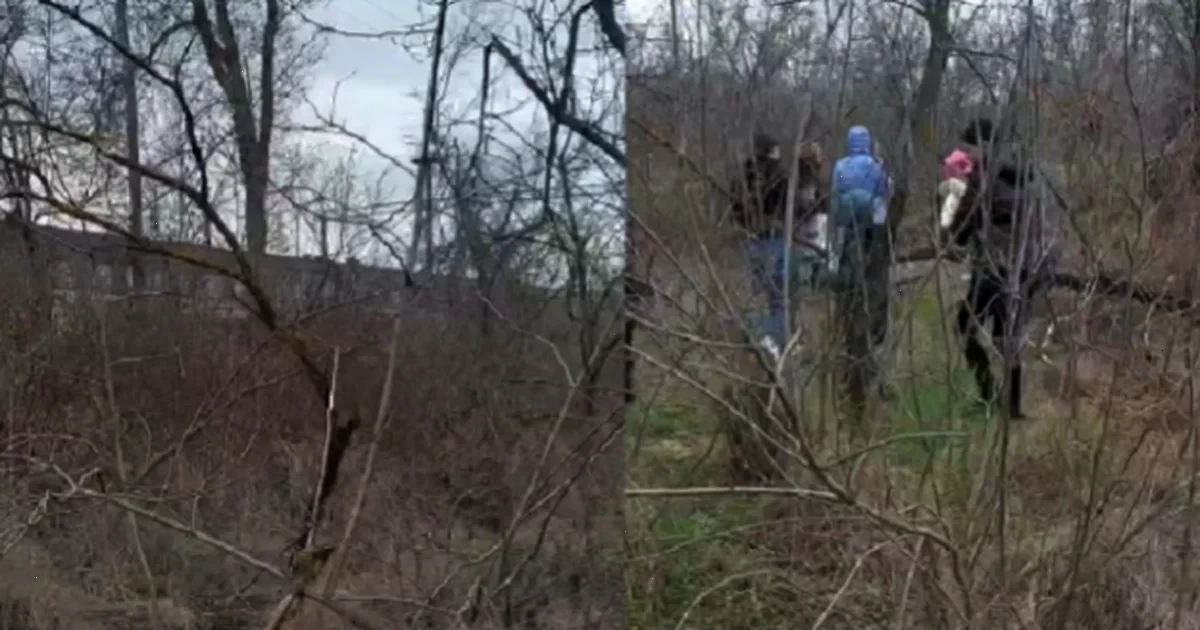 проблеми з нумерацією вагонів