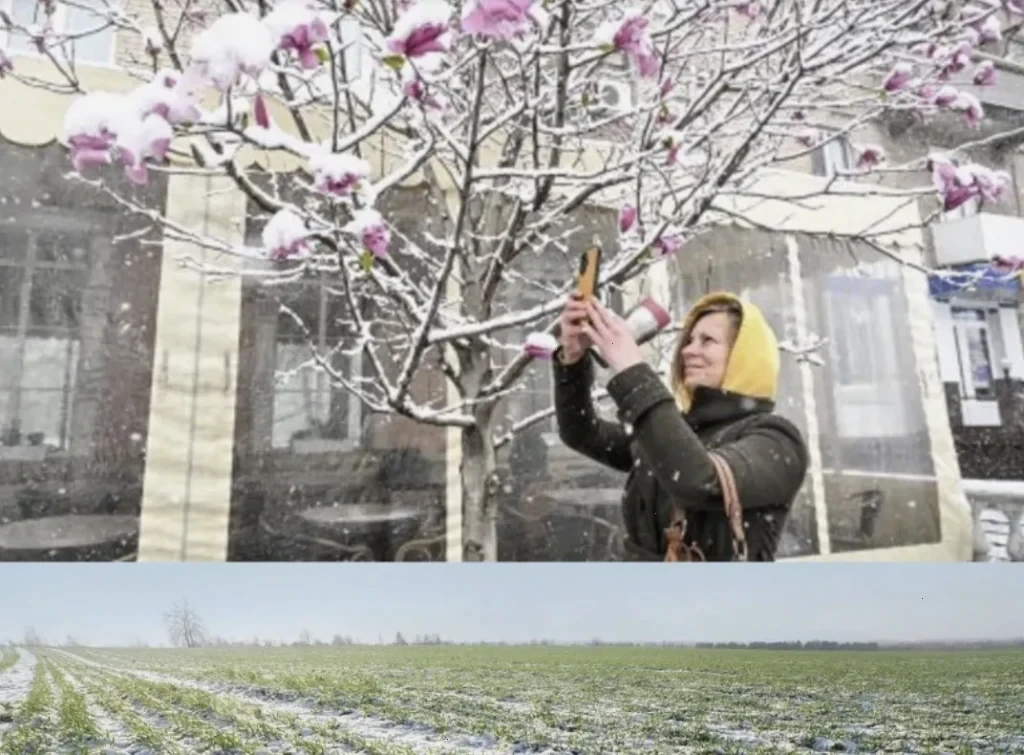 погода на Великдень - Прогноз погоди в Україні на Великдень та Вербну неділю.