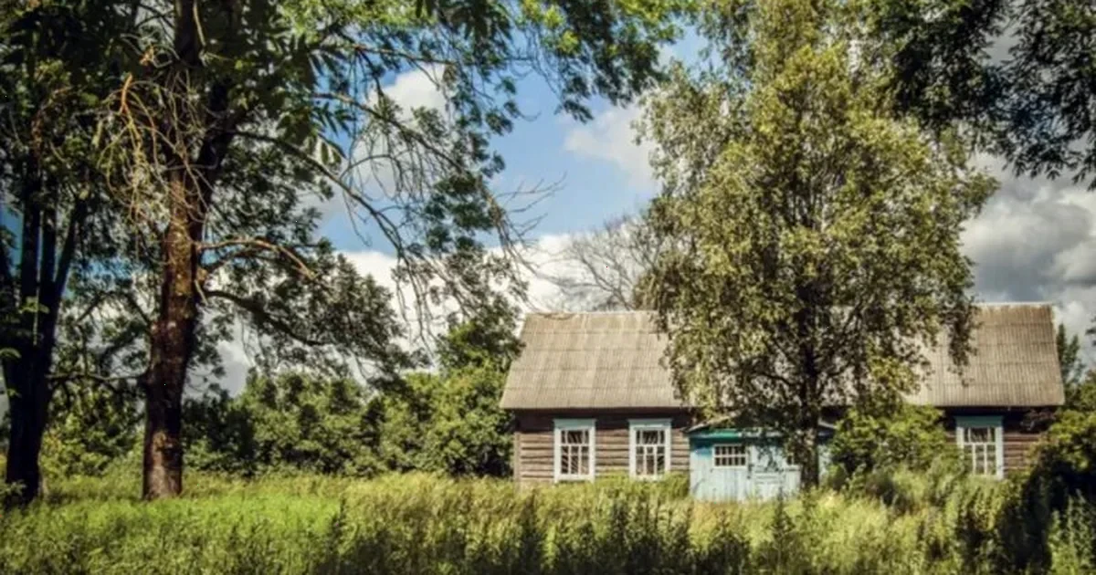 приватизація землі під будинком