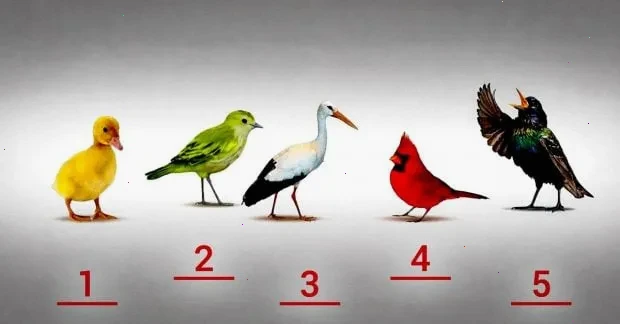 психологічний тест – детальна інформація