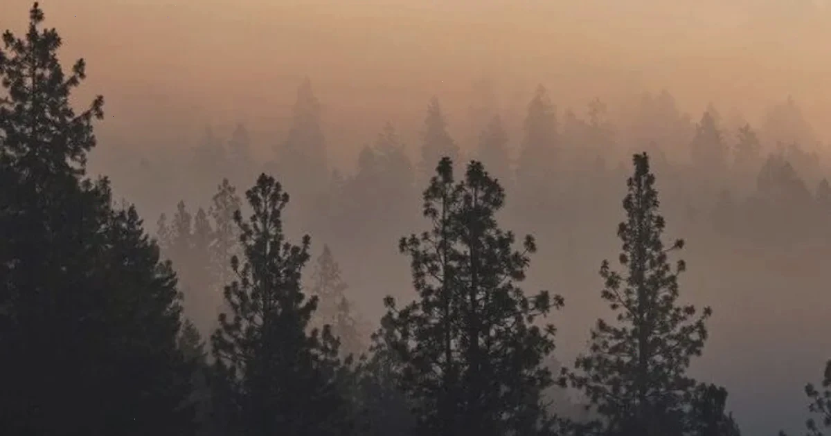 сезон тиші в Україні