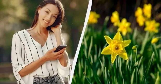 свято 28 березня – детальна інформація