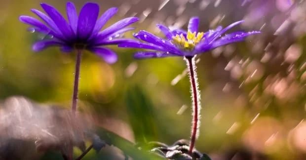 Синоптик розказав про погіршення погоди в Україні на рубежі березня й квітня