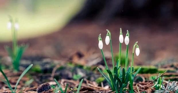 Синоптикиня попереджає: Україні загрожує швидке похолодання