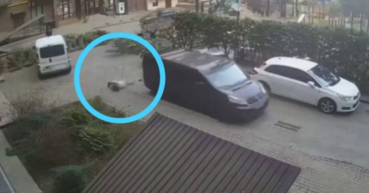 вагітна жінка впала з буса