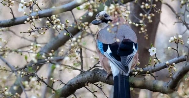 Напередодні Великодня в Україні похолоднішає: синоптик розказав про погоду у квітні