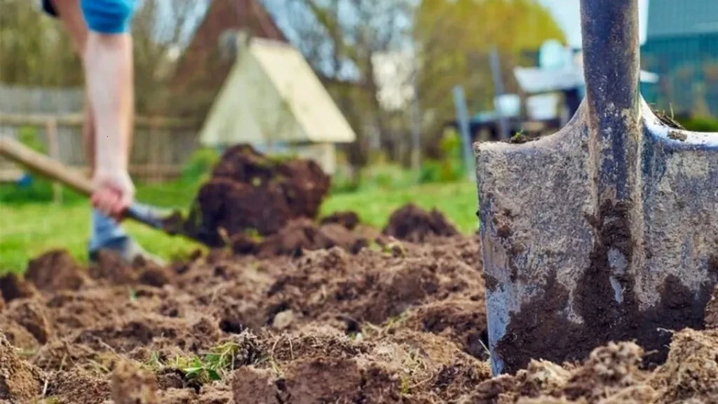 Вербний тиждень – детальна інформація