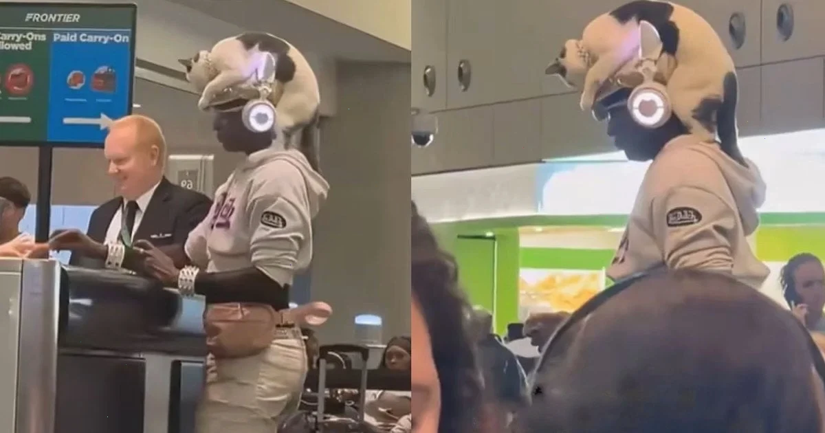 жінка пронесла кота в аеропорт