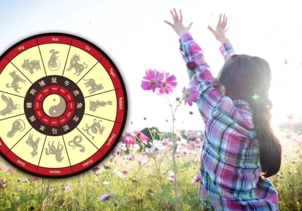 знаки зодіаку – детальна інформація