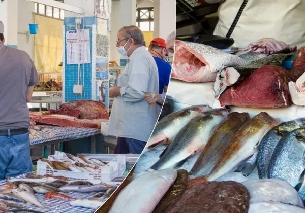 зникла риба – детальна інформація