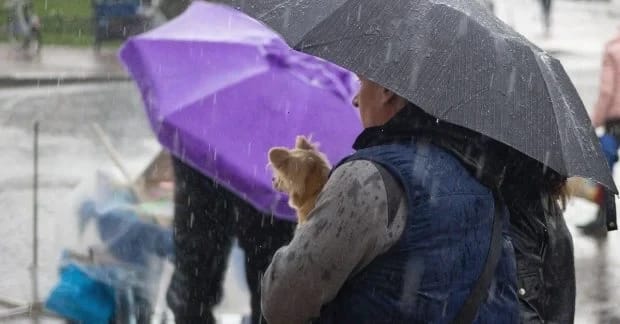 Синоптик прогнозує дощі та мокрий сніг в Україні на найближчі дні