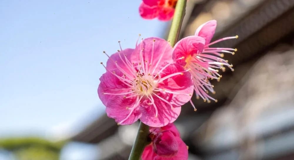 13 квітня погода в Україні нарешті почне покращуватися