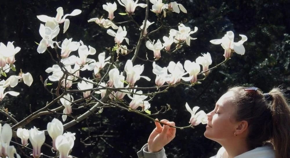 14 квітня в Україні потеплішає до +16° і більше