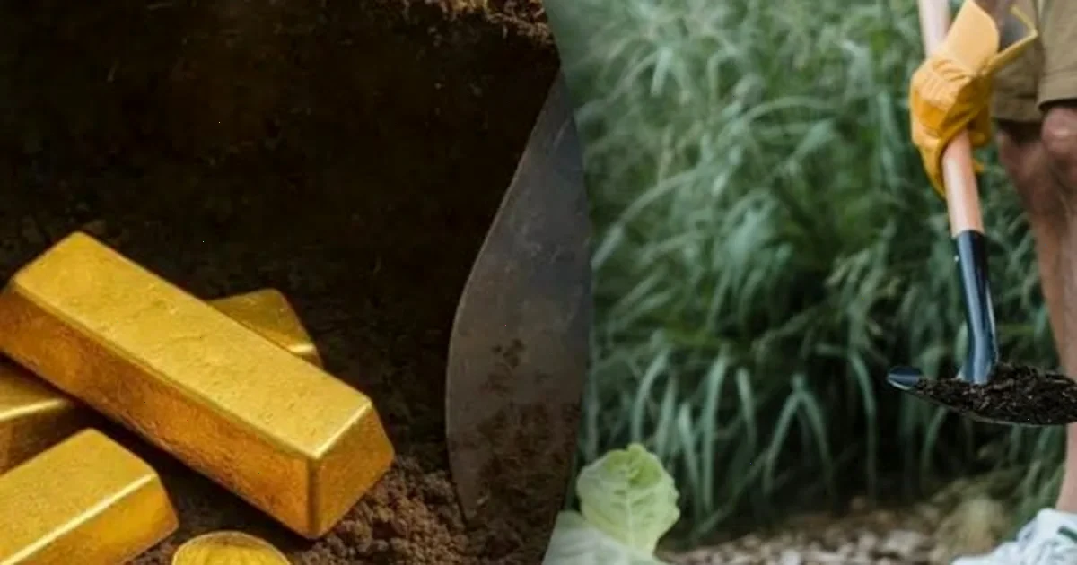 чоловік знайшов золото