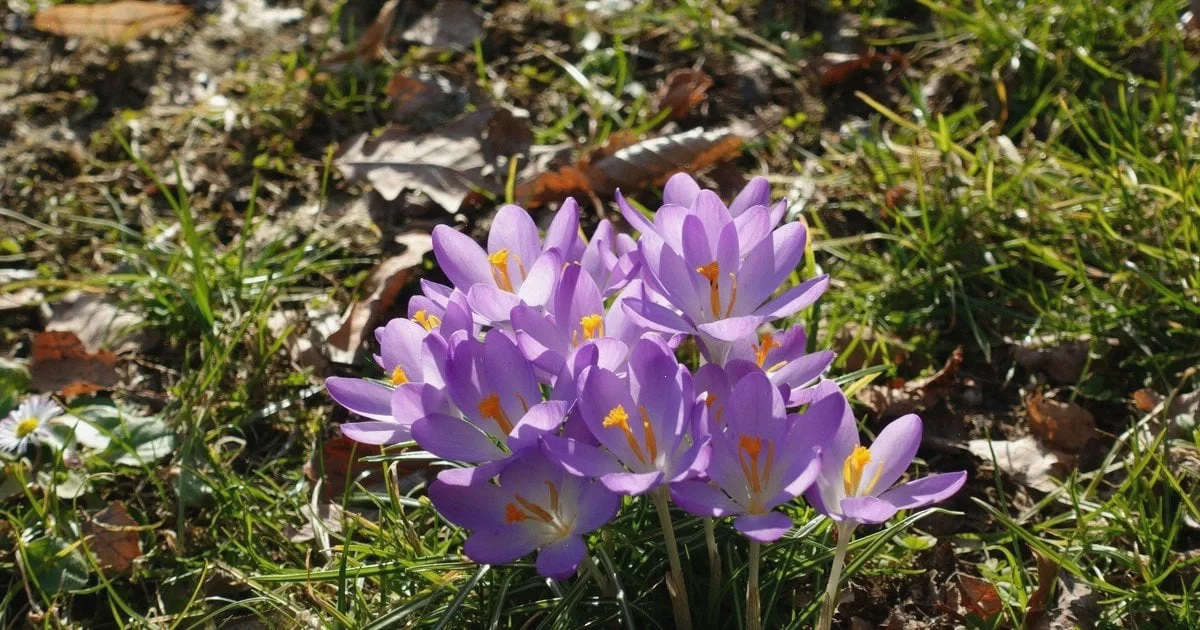 День ангела 13 квітня іменини