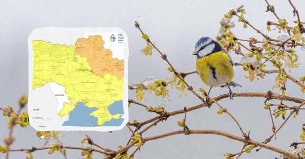 До -3° вже цієї ночі: де в Україні очікується найбільший холод (карта)
