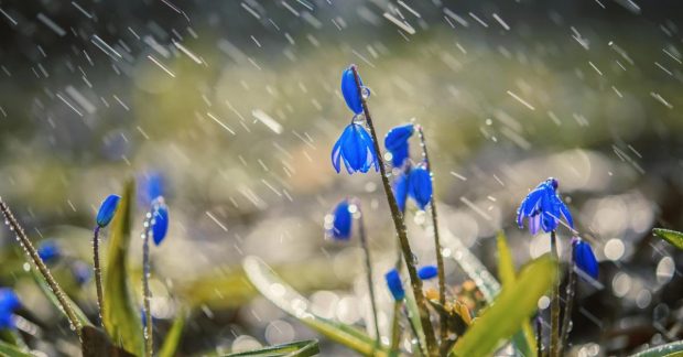 У понеділок Україну накриють дощі та шторм, - синоптикиня Діденко