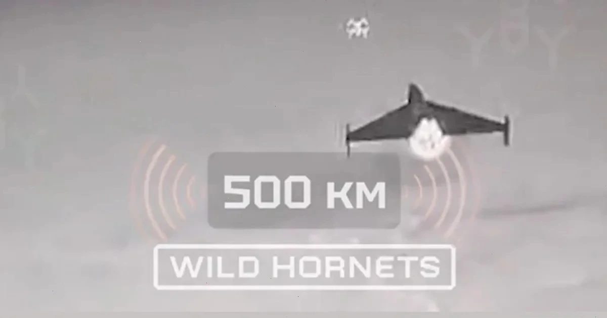 дистанційне знищення дронів