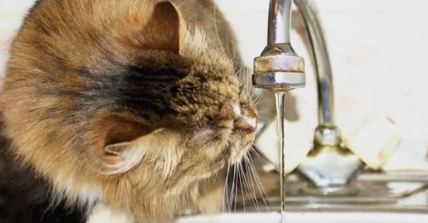 "Великі міста опиняться в катастрофічній ситуації": експерт розкрив нову ціль ударів РФ