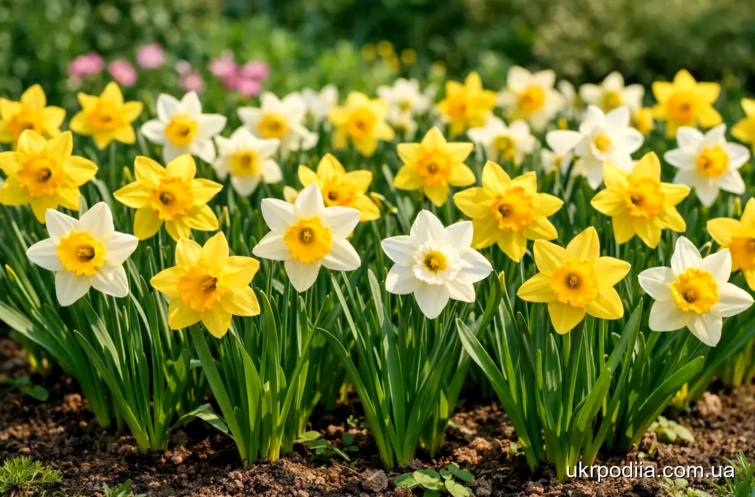 не зрізаю і