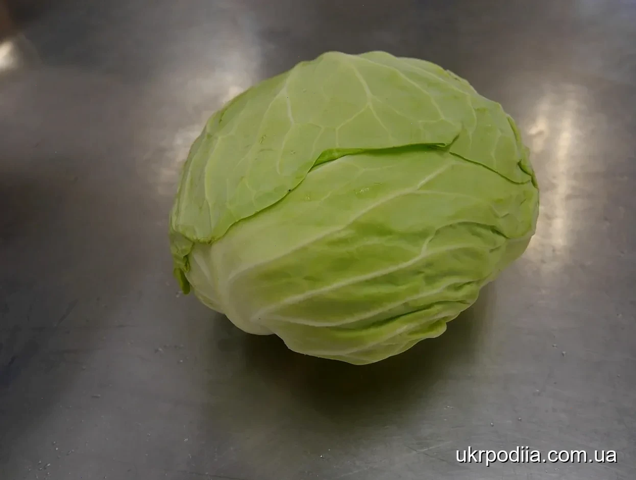 зберігання капусти