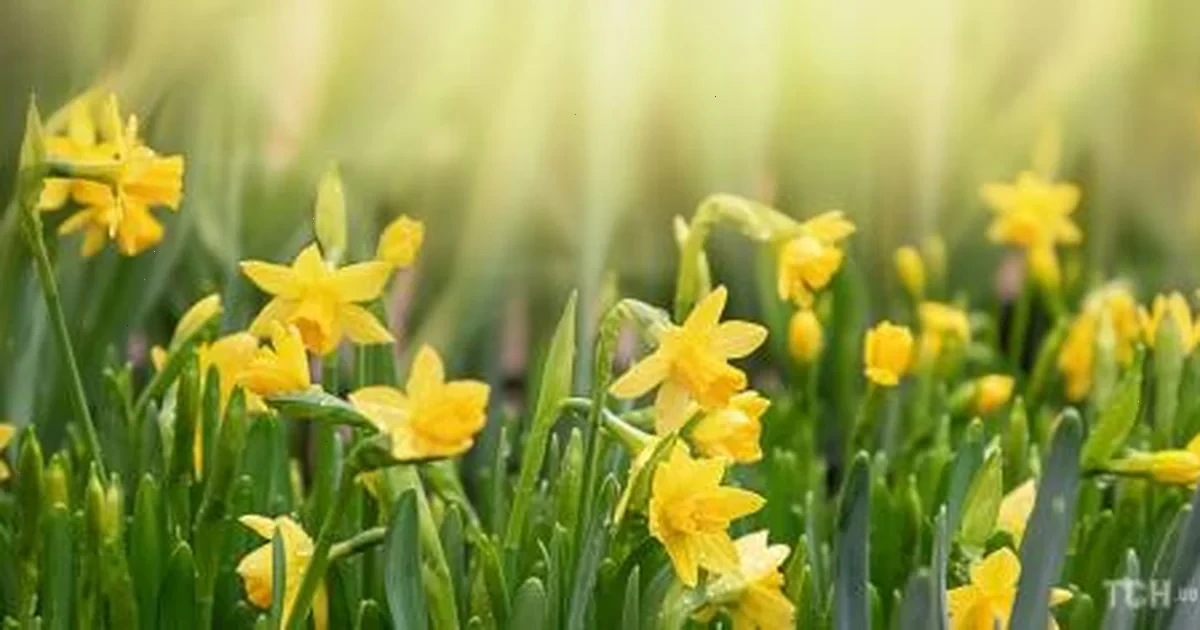 гороскоп на 4 квітня