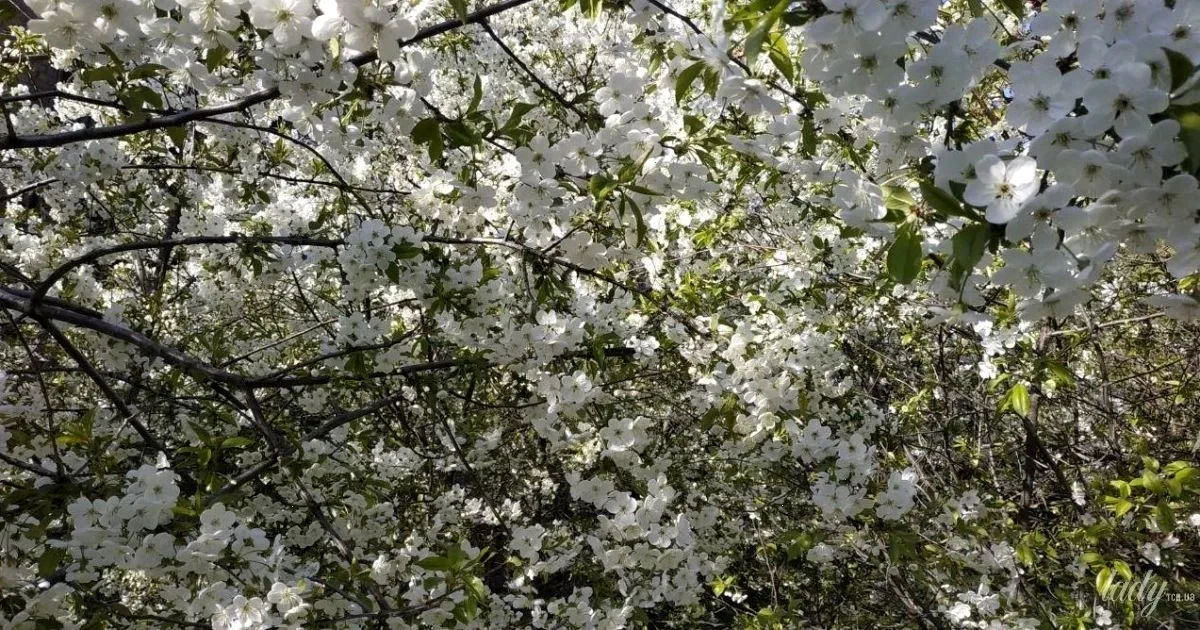 гороскоп на 5–6 квітня