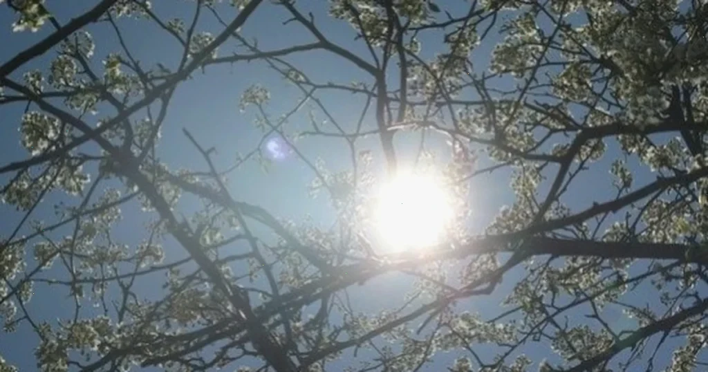 іменини 19 квітня свята прикмети