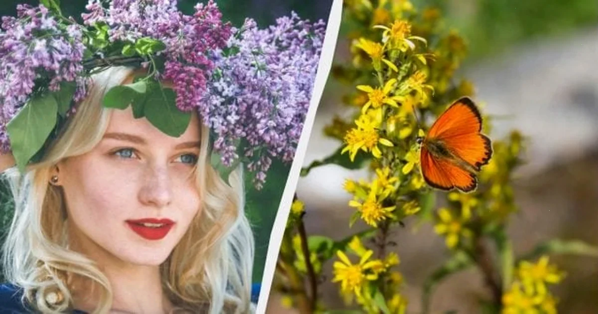 Свято 27 квітня: традиції та застереження в Україні