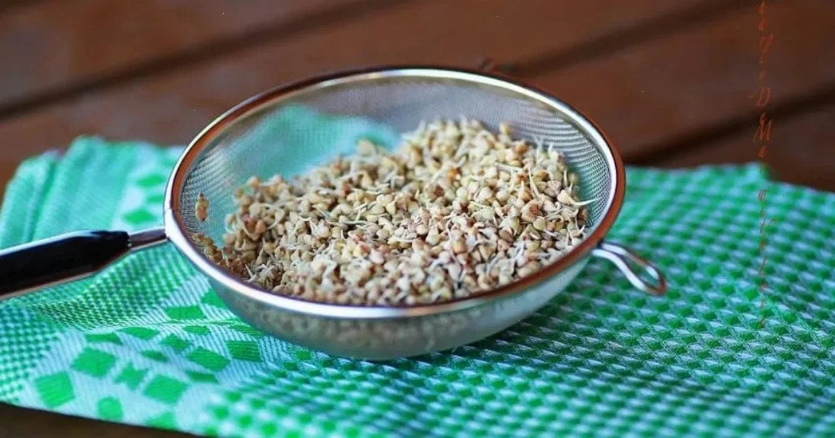 Чому пророщена зелена гречка стає популярним вибором для сніданку