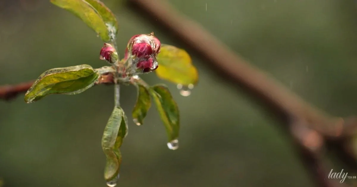 Новина про важливі зміни в житті та фінансах