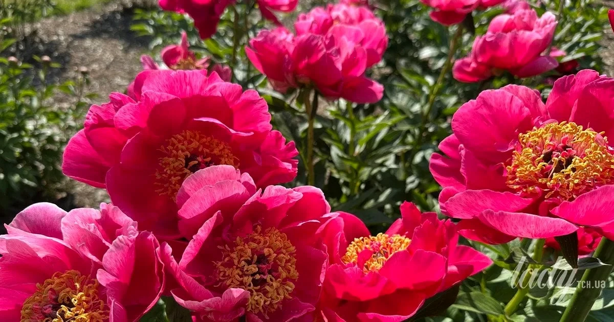 Гороскоп на травень 2026 року: важливі астрологічні події